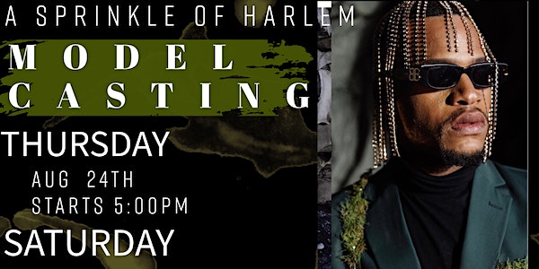 Open Model Call for "A Sprinkle of Harlem Fashion Show"