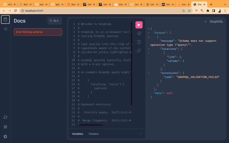 How to resolve "Error fetching schema" in gqlgen